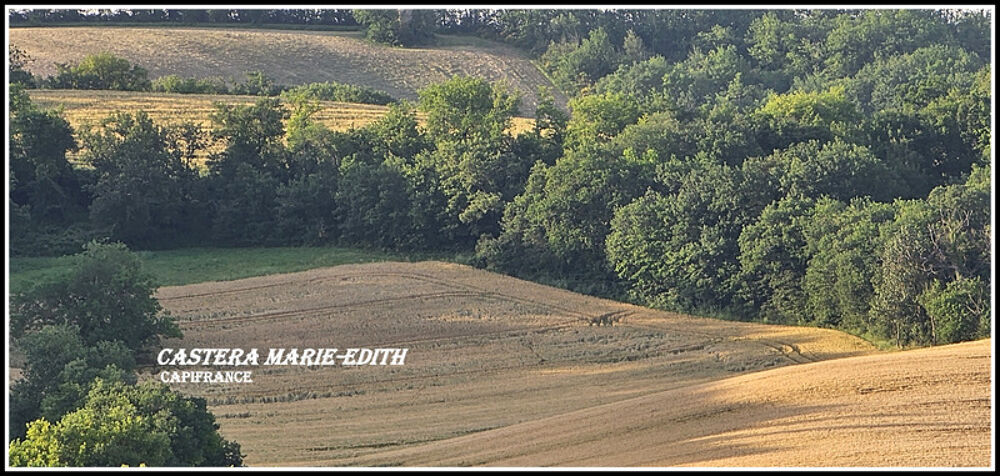 à vendre  Propriété/château Auch (32000)