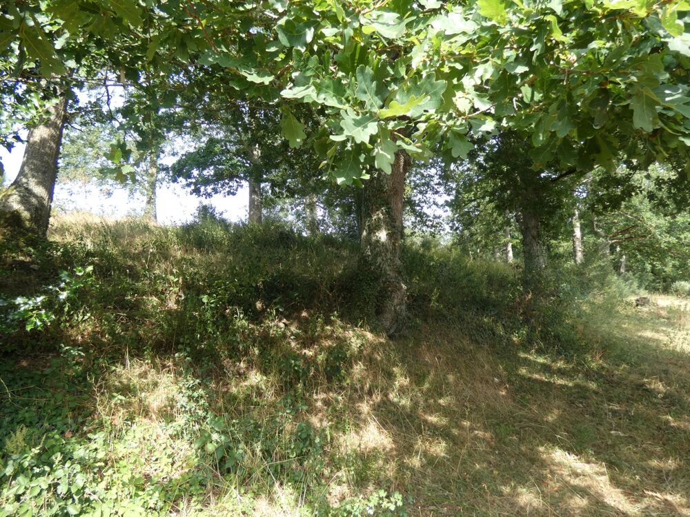 Vente Terrain Terrain à vendre  proche de POTIGNY (14) Terrain de 4730 m² avec une bâtisse Potigny