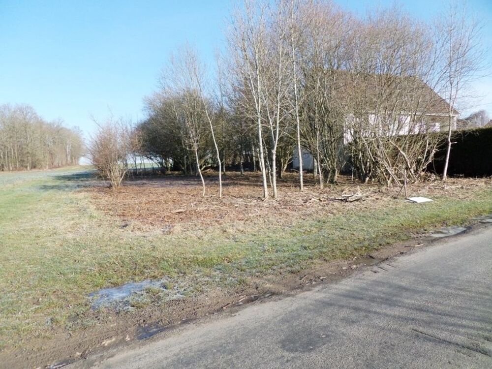 Vente Terrain CHATILLON SUR MORIN (51) à vendre Terrain constructible de 1 571 m² Chatillon sur morin