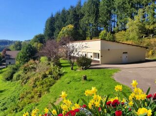  Propri�t�/ch�teau � vendre 15 + pi�ces 450 m�