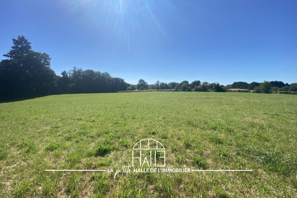 Vente Terrain Terrain Cieux