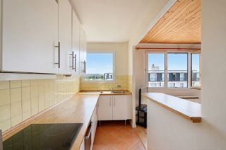 Vente Appartement Appartement à vendre 2 pièces ANTONY (92), lumineux très proche RER et tramway Antony