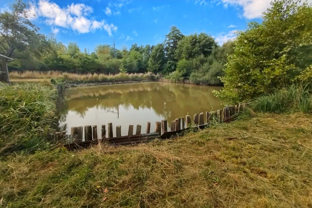 Vente Terrain  vendre  Terrain de loisir avec tang et cabanon  Montfort-le-Gesnois Montfort le gesnois