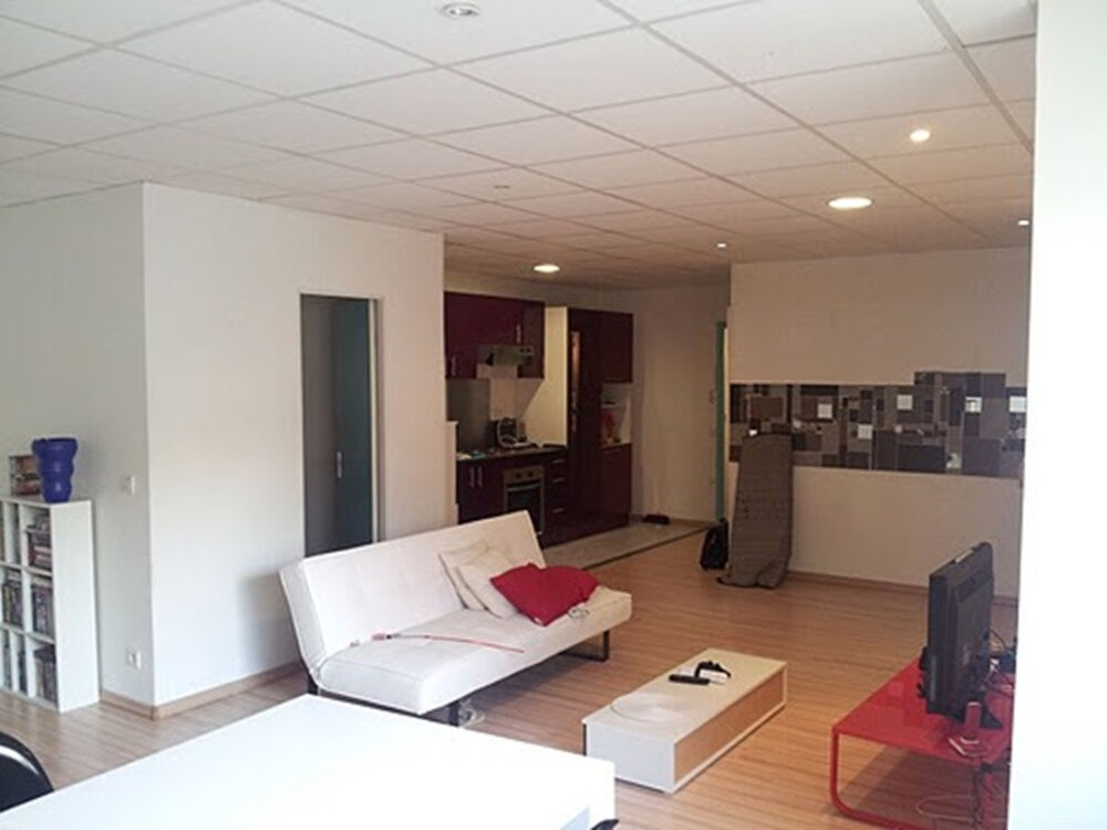 Magnifique appartement de type studio/T1 de 52.10 m2 CARREZ secteur quai vauban secteur très prisé