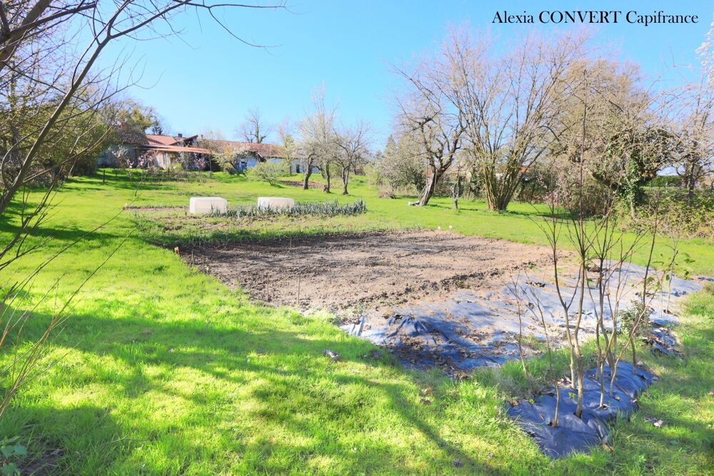 Vente Terrain 4045 m² - Vue 4