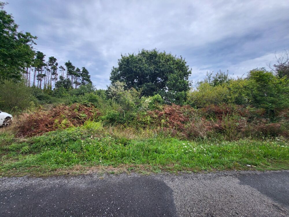 Vente Terrain Terrain non constructible à vendre  CROZON (29) Crozon