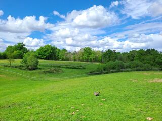  Propri�t�/ch�teau � vendre 12 pi�ces 323 m�