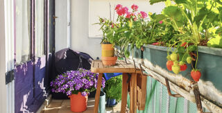  Appartement � vendre 4 pi�ces 80 m�