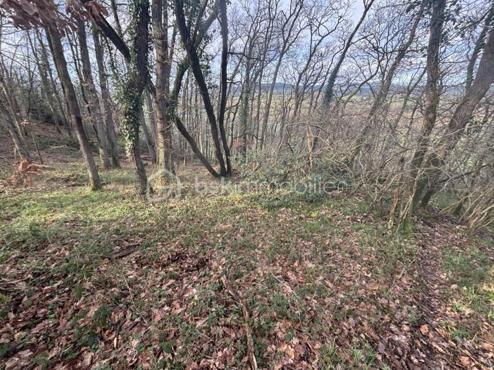Vente Terrain ET SI VOUS POSSÉDIEZ 2,48 HECTARES DE FORÊT EN SUISSE NORMANDE ? Esson