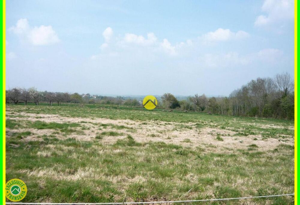 Vente Terrain 9808 M² A BATIR 5 MNS COLLEGE PROCHE ECOLE ELEC OK Dun le palestel