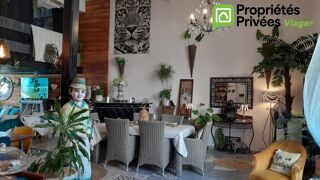  Maison � vendre 7 pi�ces 388 m�