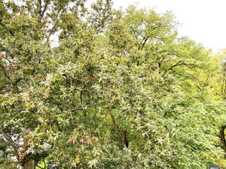  Appartement � vendre 4 pi�ces 77 m�