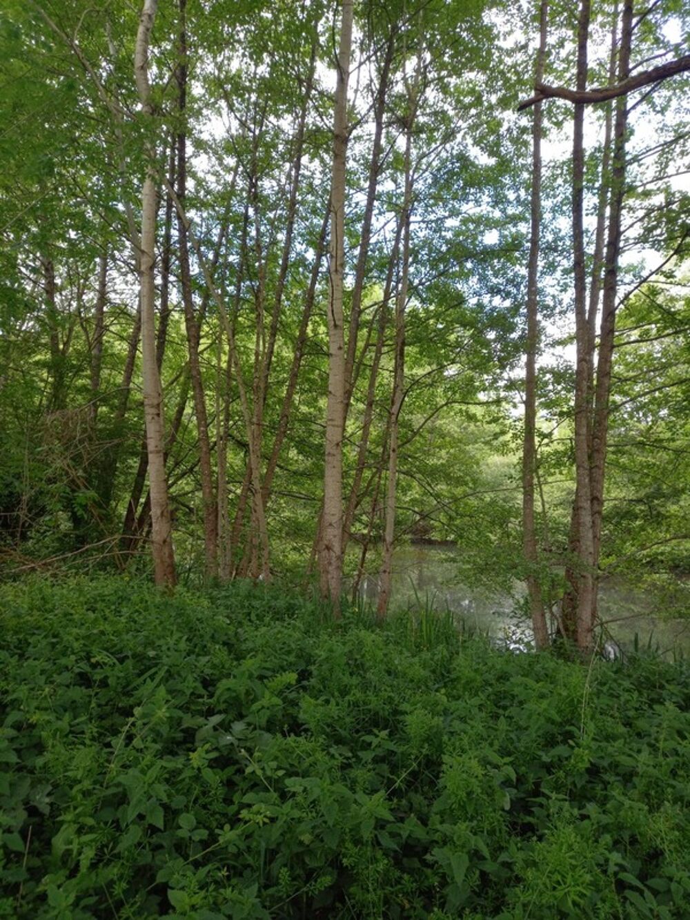 Vente Terrain Terrain à vendre de 405,00 m² Proche de COURTEMAUX (45320) Courtemaux