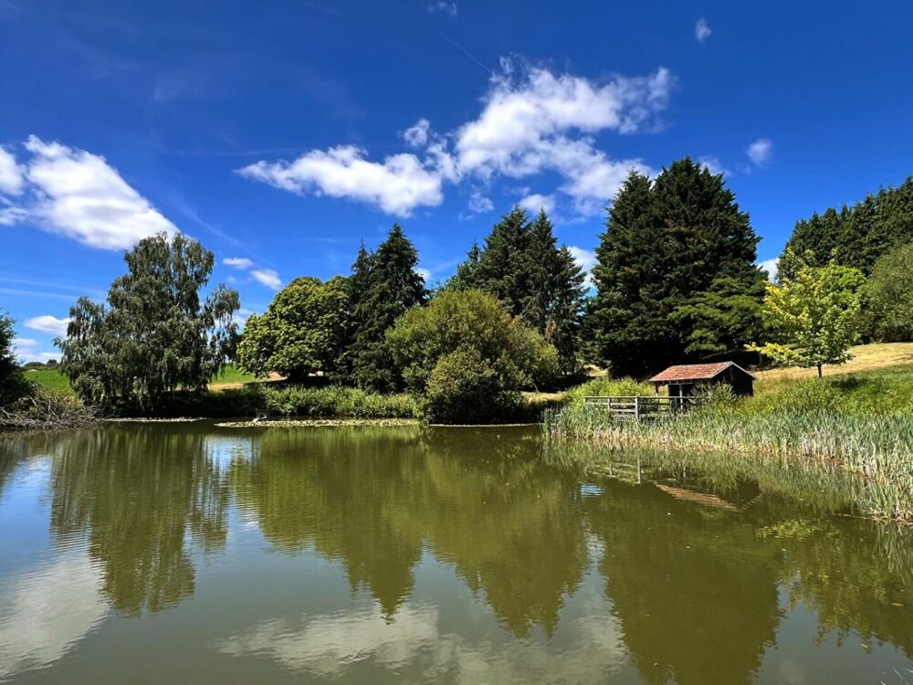 Vente Terrain Etang avec chalet (s) 35 m2 Sarlande