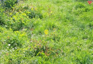  Terrain  vendre 1050 m