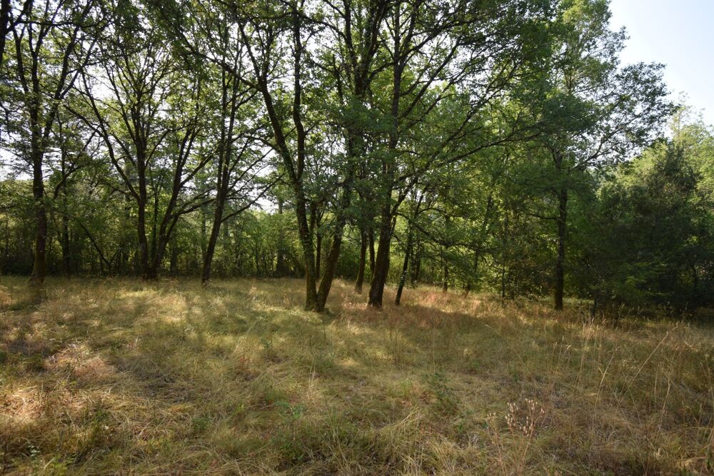 Vente Propriété/Château Belle Propriété à vendre 5 pièces VERS (46) Vers