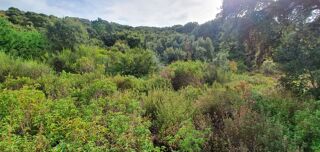  Terrain � vendre 3000 m�