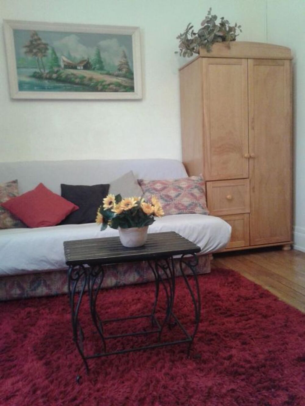 Location Appartement Appartement de 53m2 à louer sur Mulhouse Mulhouse
