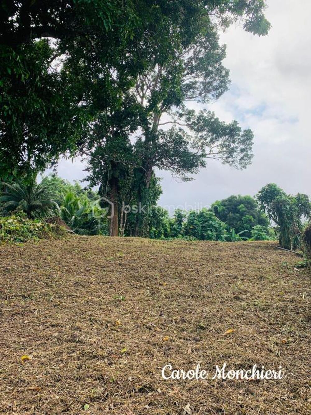 Vente Terrain TERRAIN CONSTRUCTIBLE Capesterre belle eau