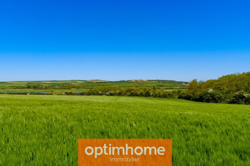 Vue dégagée, environnement paisible et jardin verdoyant