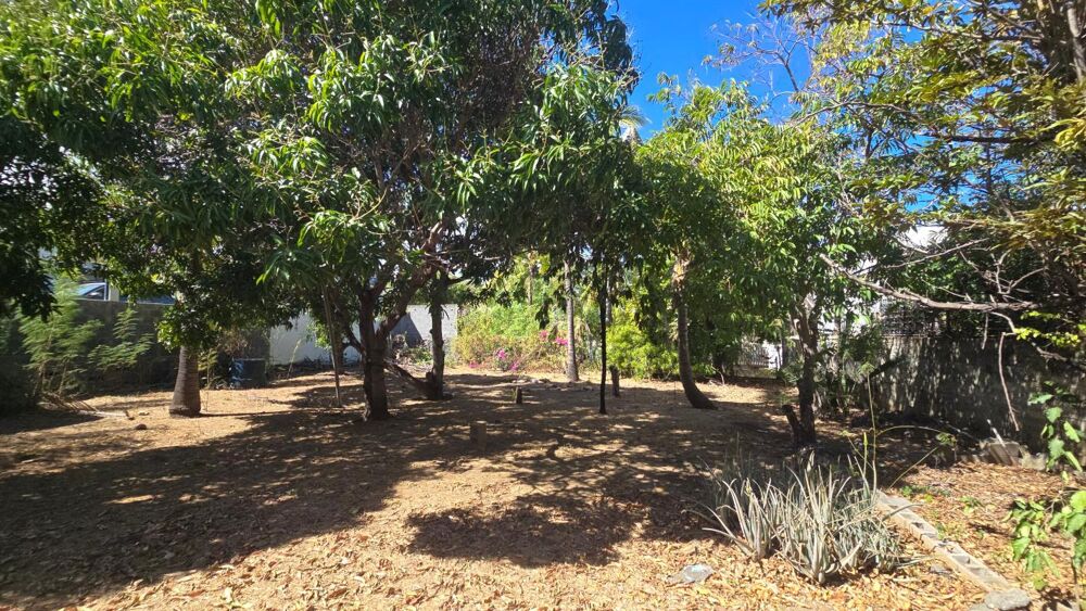 � vendre  Maison Saint-Gilles Les Bains (97434)