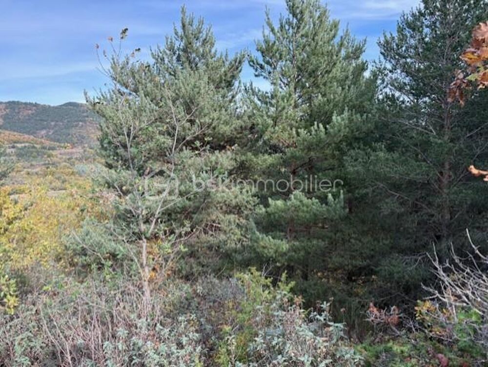 Vente Terrain Terrain 10850 m2 Rabouillet Rabouillet
