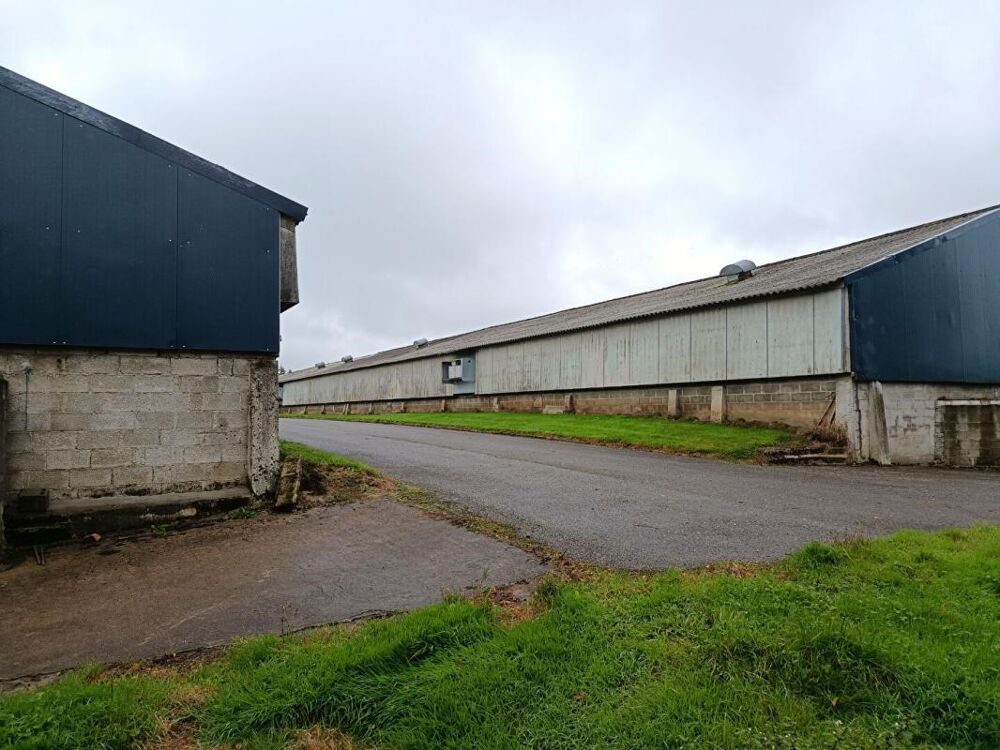 Vente Maison poulaillers industriels Le saint
