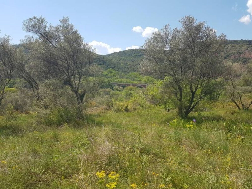 Vente Terrain Terrain Ceyras 2632 m2 + Mazet de 77m² Ceyras