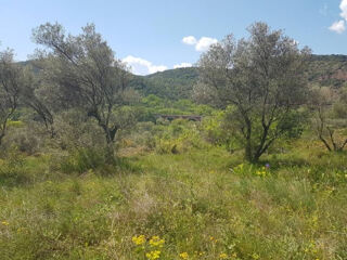Vente Terrain Terrain Ceyras 2632 m2 + Mazet de 77m² Ceyras