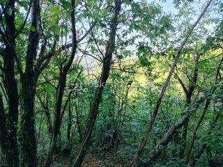  Terrain � vendre 5400 m�