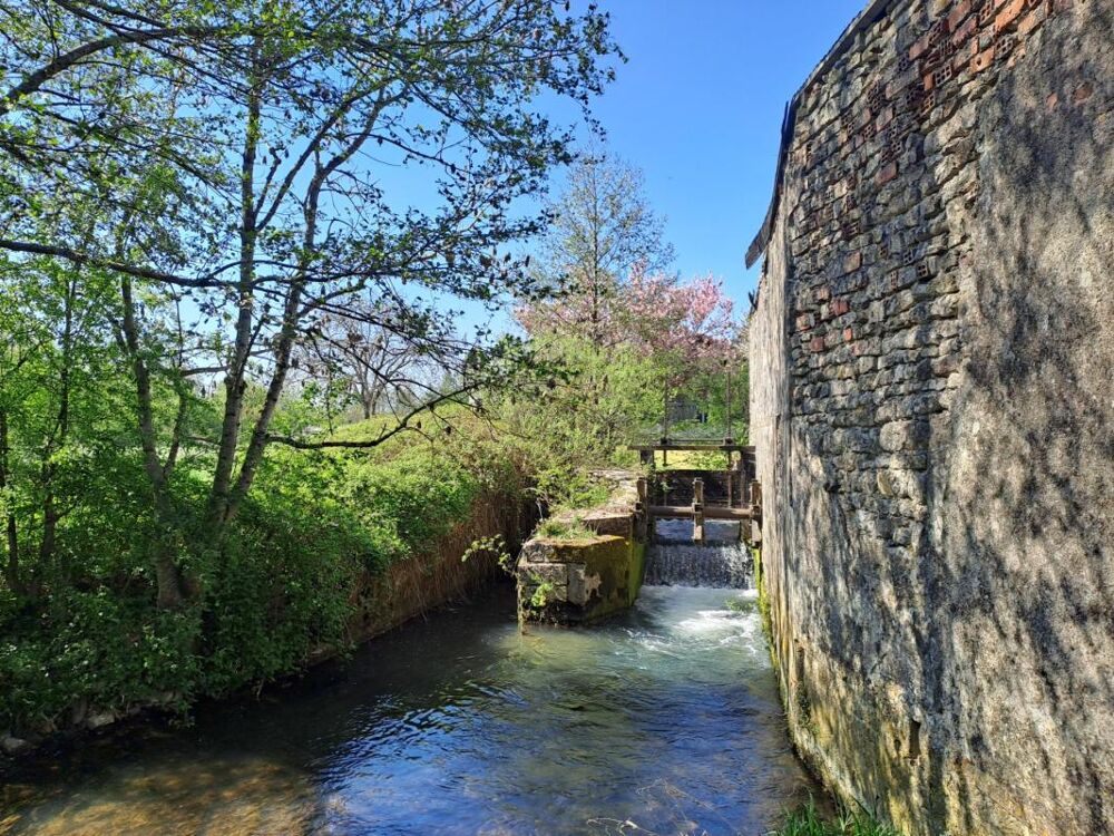 Vente Propriété/Château Proche Belgique et Luxembourg, Propriété de charme avec activité touristique de 384 m² habitable + dépendances, terrain de 4951 Clery grand