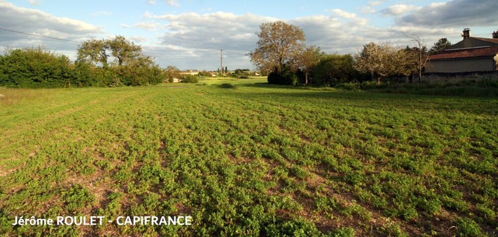 Vente Terrain Dpt Vienne (86),  vendre Champigny-En-Rochereau terrain - Terrain constructible de 1 350,00 m environ Champigny en rochereau