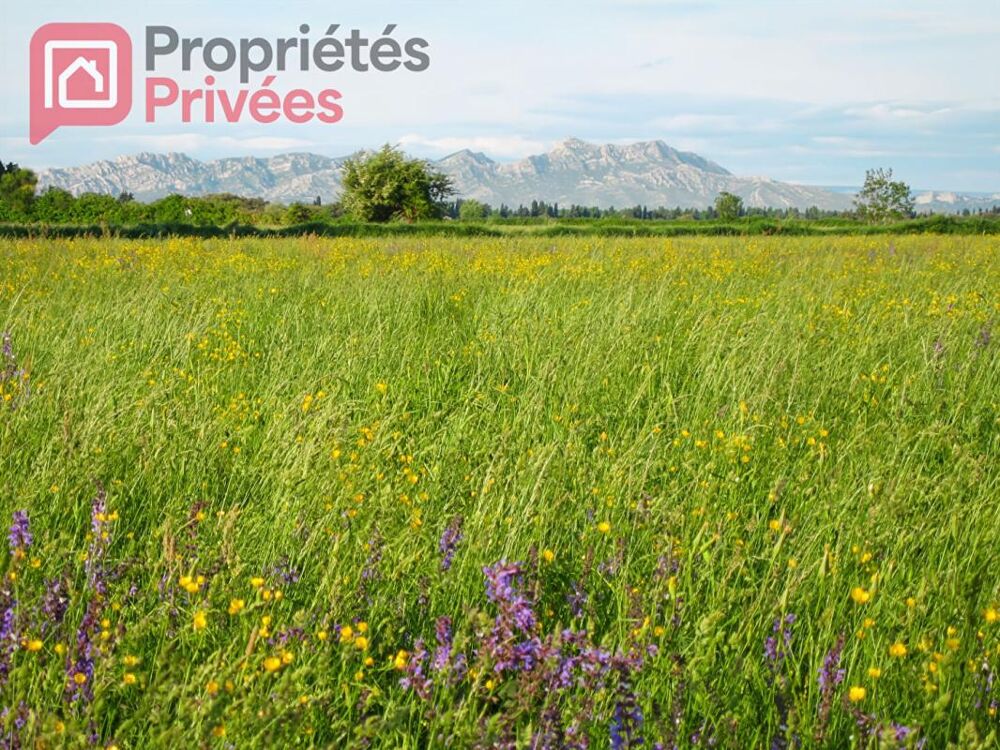 Vente Terrain MANDAT EXCLUSIF - Terrain à Batir - Saint Martin De Crau Saint martin de crau