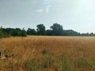  Terrain à vendre 56000 m²