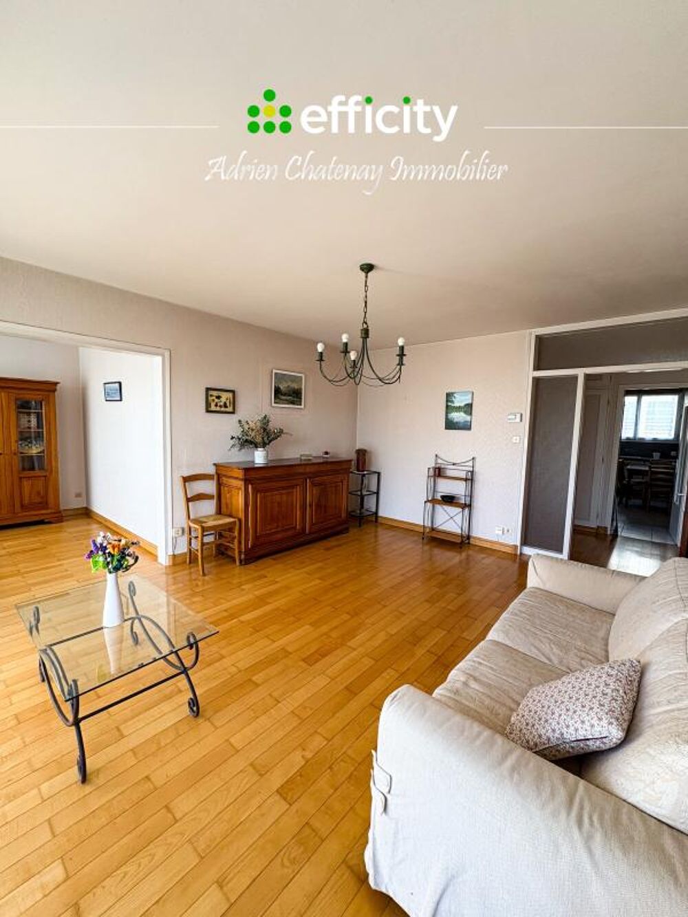 Vente Appartement Appartement ancien La roche sur yon