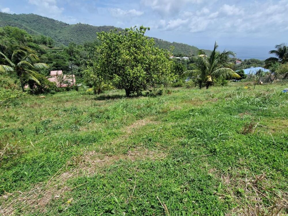 Vente Terrain Terrain Le Morne Vert Le morne vert