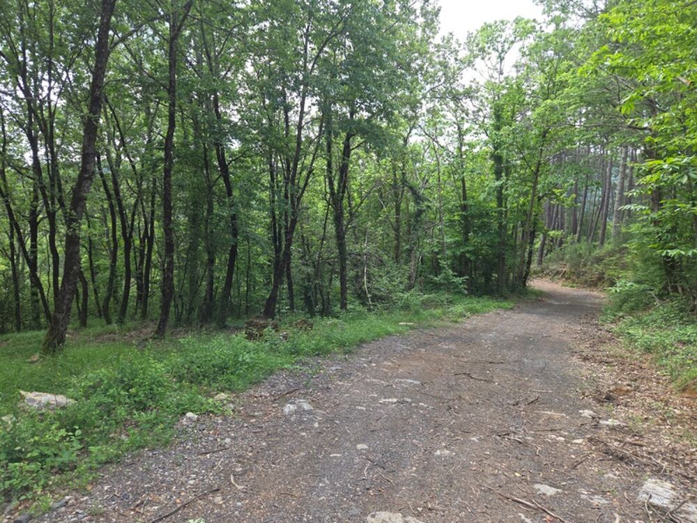 Vente Terrain MEYRANNES (30) A vendre terrain d'une superficie de 9849m2 dont 868m2 à bâtir borné récemment et châtaigneraie Meyrannes