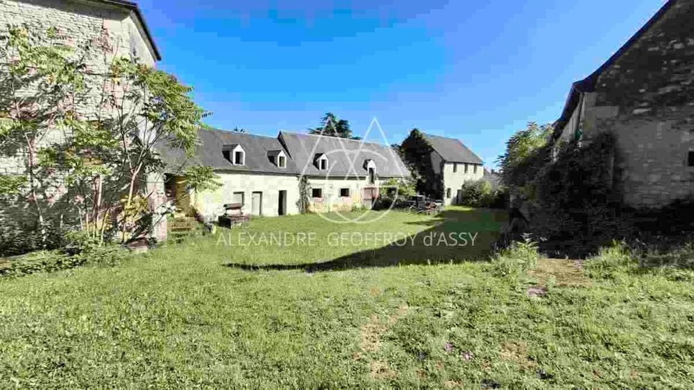 à vendre  Propriété/château Le Blanc (36300)