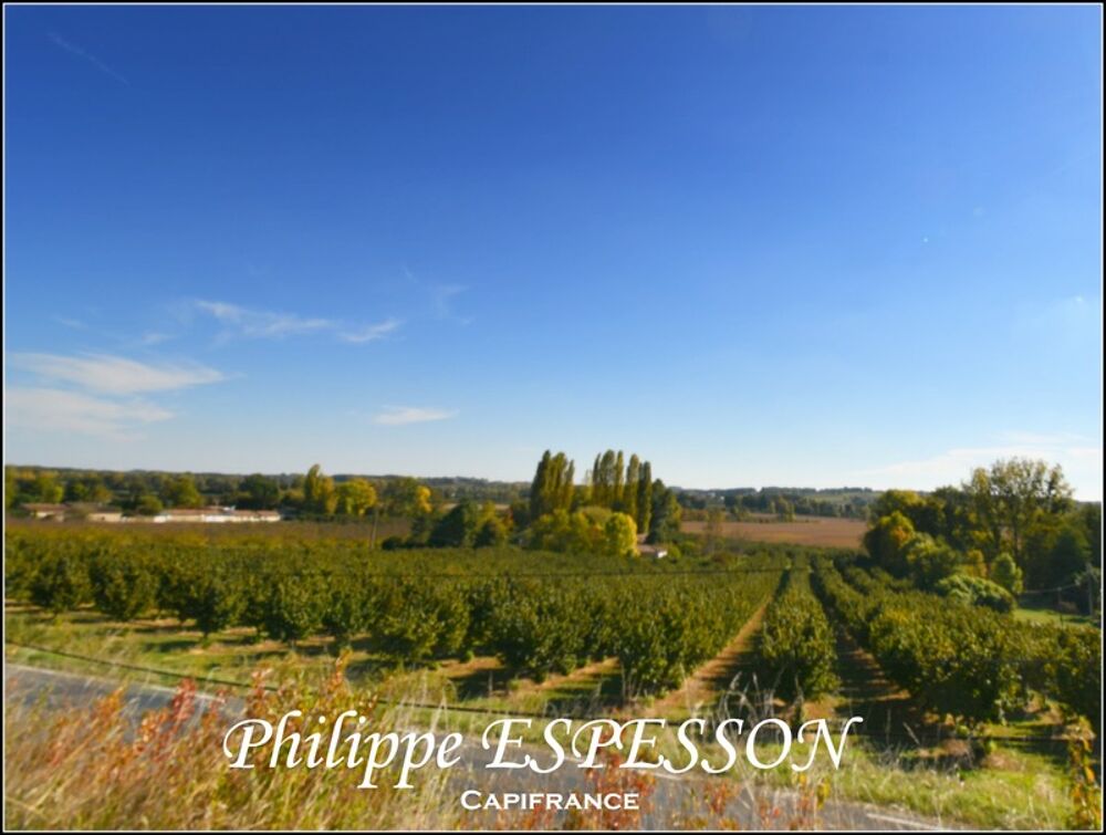 Vente Terrain TERRAIN DE 3189 M2 A DIEULIVOL DPT 33 PROCHE DURAS DPT 47 Dieulivol