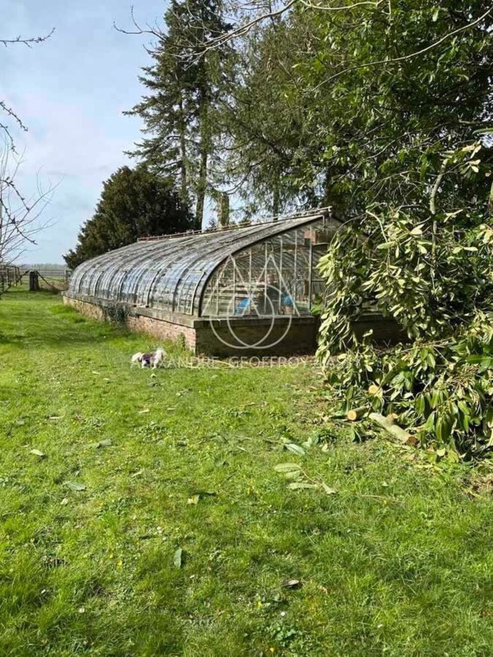 à vendre  Propriété/château Rânes (61150)