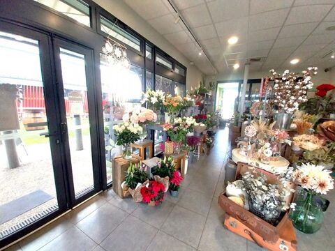   SECTEUR SAINTES - FLEURISTE, PLANTES, DECORATION 