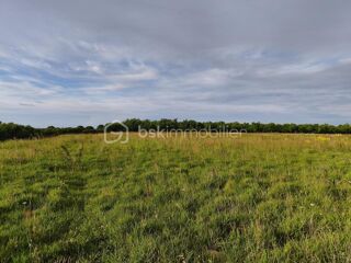  Terrain à vendre 6000 m²