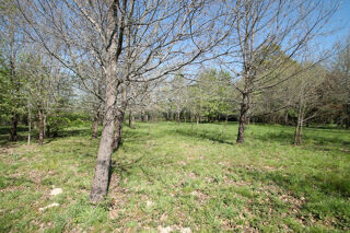  Terrain � vendre 1029 m�