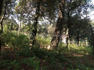  Terrain � vendre 1246 m�