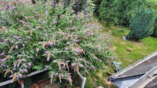  Immeuble � vendre 7 pi�ces 225 m�