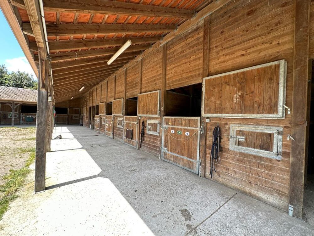 Vente Propriété/Château La passion des chevaux Arelaune en seine