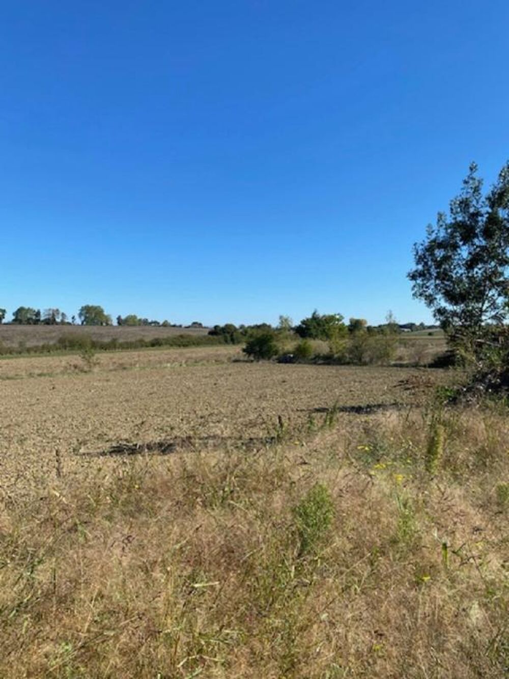 Vente Maison Domaine agricole 18 pièces  347 m2  + 10 Hectares de terre Orsans