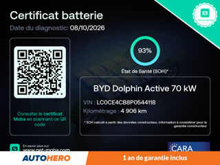 Dolphin Electrique 60.4 kWh Comfort 204 ch 2025 occasion 92130 Issy-les-Moulineaux