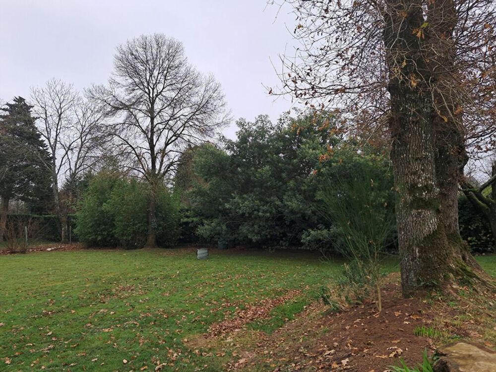 Vente Terrain Terrain arboré et constructible La chapelle caro