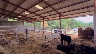  Propri�t�/ch�teau � vendre 5 pi�ces 100 m�